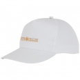 Hades 5 Panel Cap 8