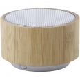 The Raven - Bamboo Wireless Speaker 2