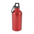 Pollock Glossy 550ml Sports Bottle 16