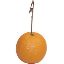 Stand Orange Stress Toy