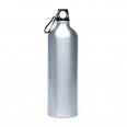 Pollock Glossy 1litre Sports Bottle 5