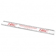 Renzo 30 cm Plastic Ruler 7