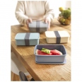 Dovi Recycled Plastic Lunch Box 7