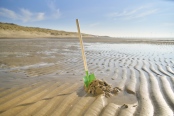 Garden Shovel 8
