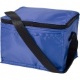Cooler Bag 4