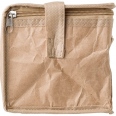 Paper Woven Cooler Bag 4