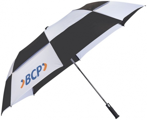 Norwich 30" Foldable Automatic Umbrella