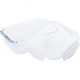 Glass Lunch Box 2