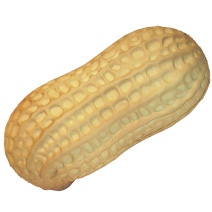 Peanut Stress Toy