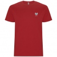 Stafford Short Sleeve Kids T-Shirt 13