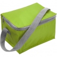 Cooler Bag 10