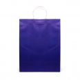 Brunswick Large Coloured Paper Bag 4