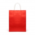 Brunswick Medium Coloured Paper Bag 12