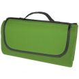 Salvie Recycled Plastic Picnic Blanket 1