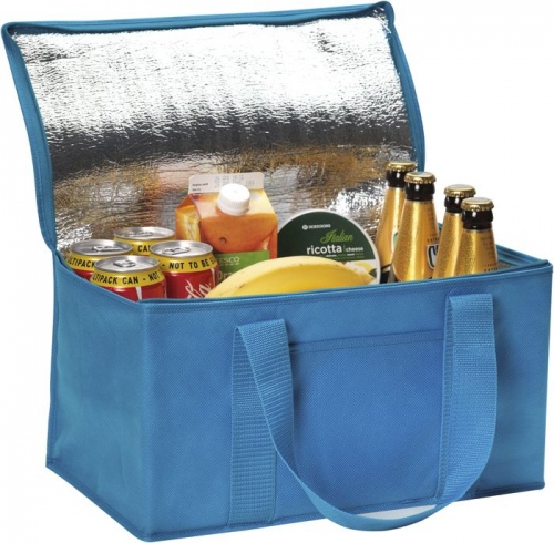 Rainham 12 Can Cooler Bag