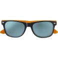 Plastic Sunglasses 4