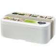 MIYO Renew Single Layer Lunch Box 15