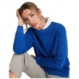 Batian Unisex Crewneck Sweater 4