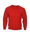 Youths Raglan Sweat 3