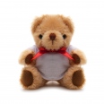 Small Jointed Teddy 6