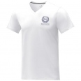 Somoto Short Sleeve Men's V-neck T-Shirt 9
