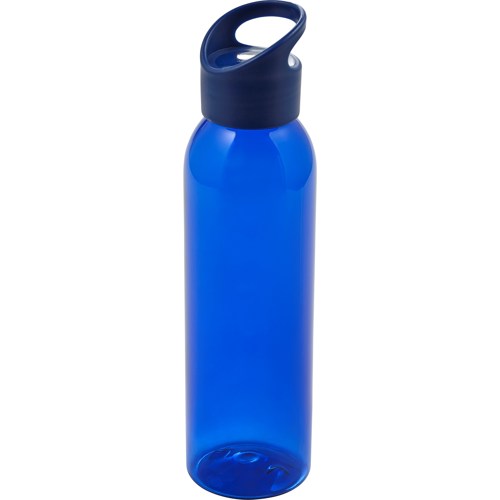 Water Bottle (650ml)