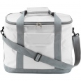 Cooler Bag 2