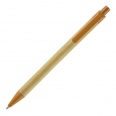 Hale Card Ball Pen with Recyclable Plastic Trim 2