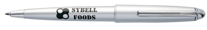 Silver Coloured Alpine Pen