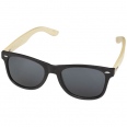 Sun Ray Bamboo Sunglasses 1