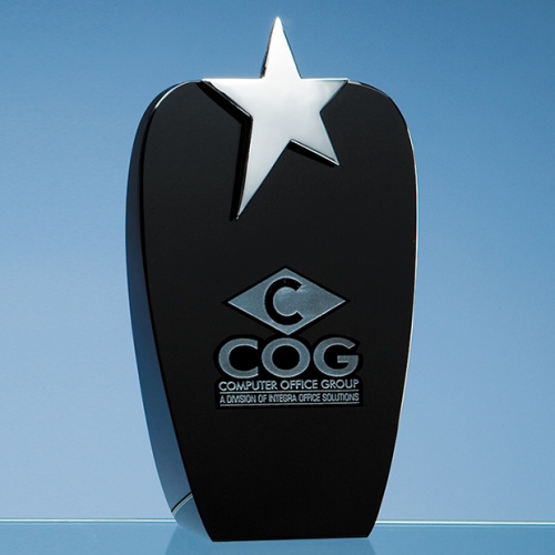 19.5cm Onyx Black Oval Award With Silver Star
