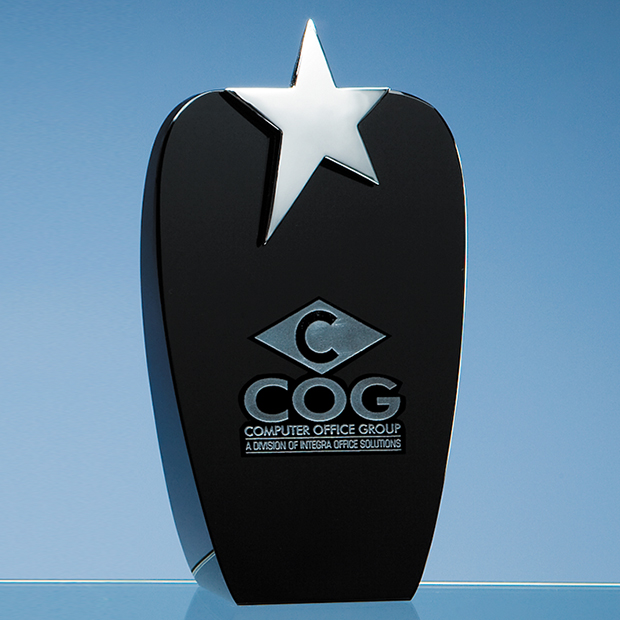 19.5cm Onyx Black Oval Award With Silver Star