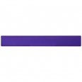 Renzo 30 cm Plastic Ruler 4