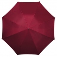 Budget Storm Umbrella 3