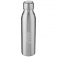Harper 700 ml Stainless Steel Water Bottle with Metal Loop 3