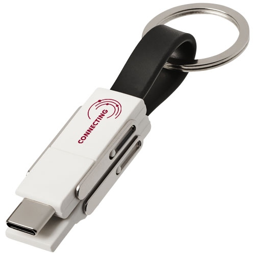 One 4-in-1 Cable