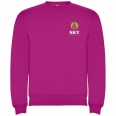 Clasica Unisex Crewneck Sweater 12