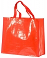 Glossy Shopper 4