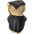Plush Graduation Bear 2