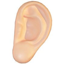 Ear Stress Toy