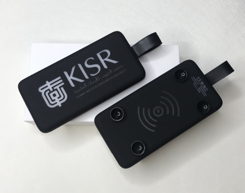 10,000mAh Power Bank