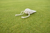 Golf Pack (9pc) 7