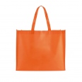 Jackson Shopper 2