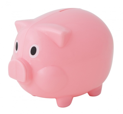Budget Piggy Bank