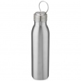 Harper 700 ml Stainless Steel Water Bottle with Metal Loop 6