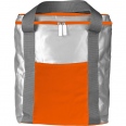 Cooler Bag 2