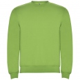 Clasica Unisex Crewneck Sweater 1