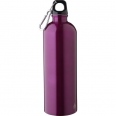 Recycled Single Walled Bottle (750 ml) 13