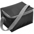 Cooler Bag 11