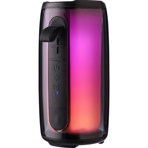 Outdoor Speaker